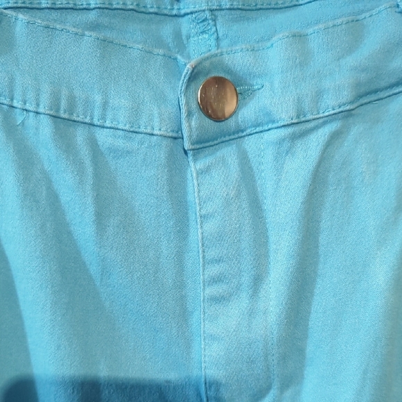 Lavena “Dustworth” Embroidered Capri Pants – Turquoise Size 12 - Picture 8 of 16